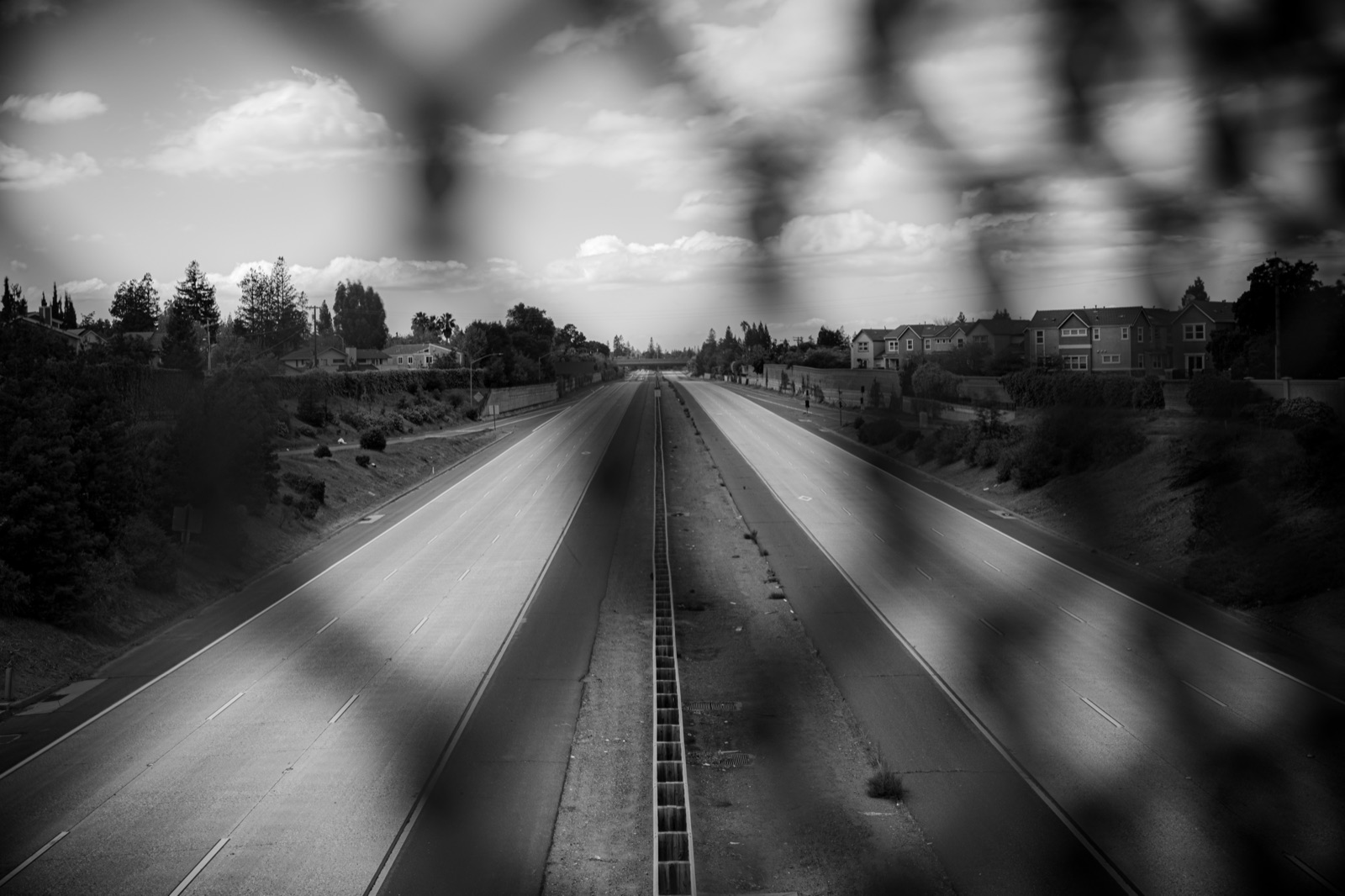 Photograph by Ethan Hu