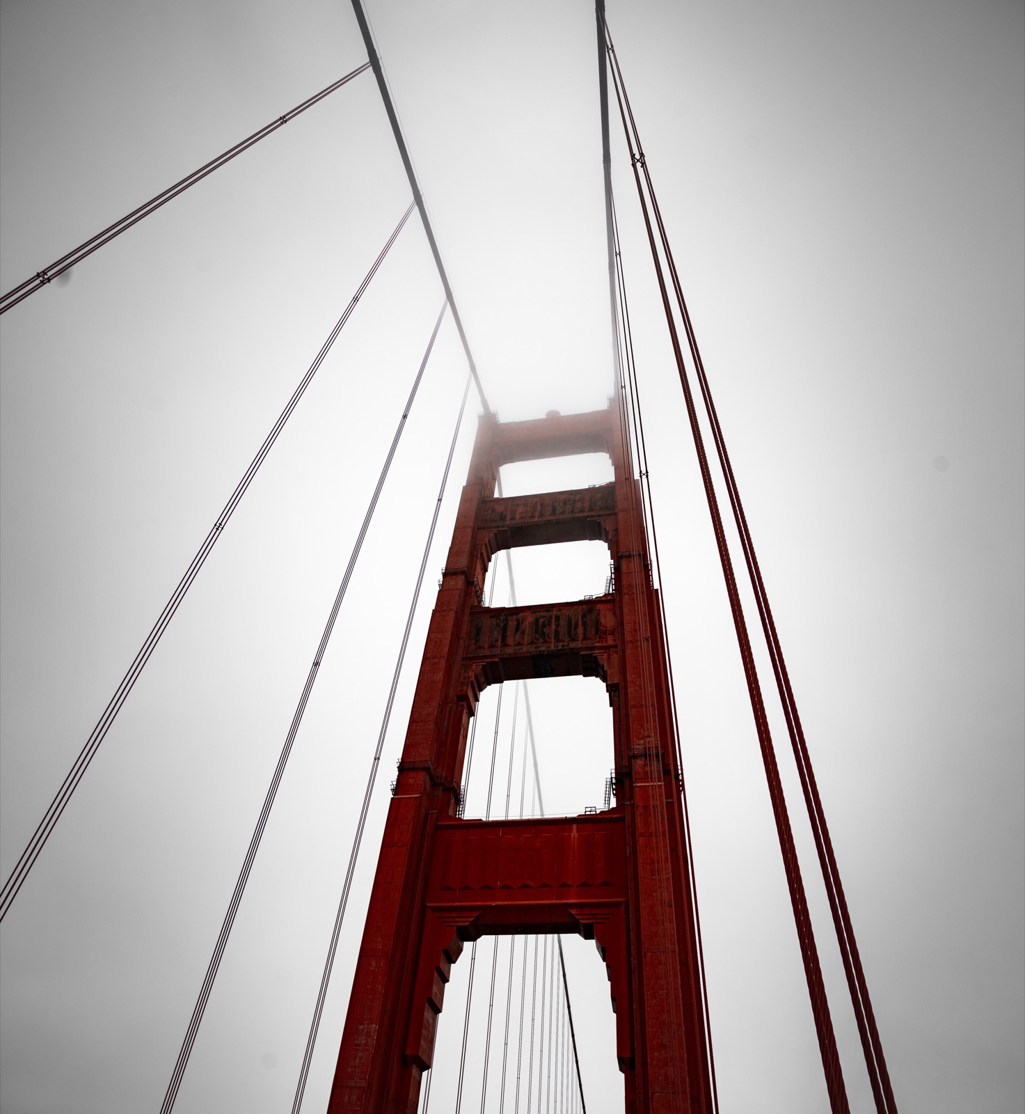 Photograph by Ethan Hu