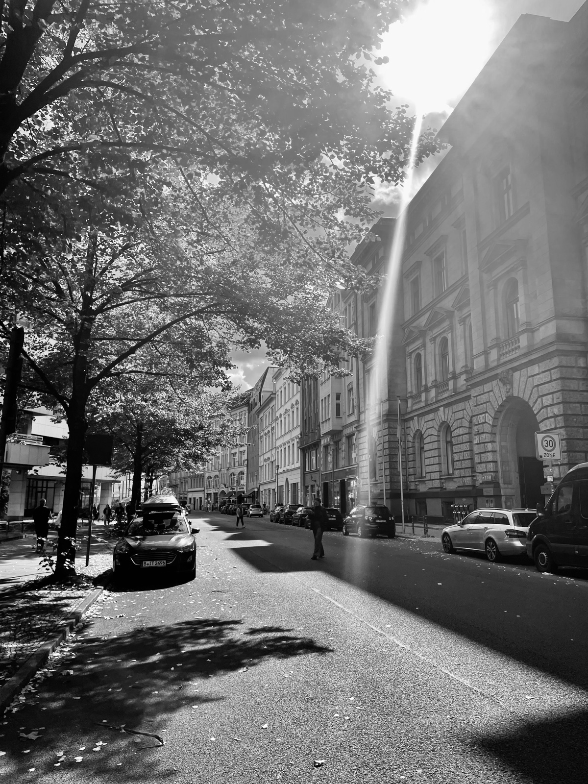 Black-and-white tree-lined European street with sunlight flaring off the buildings